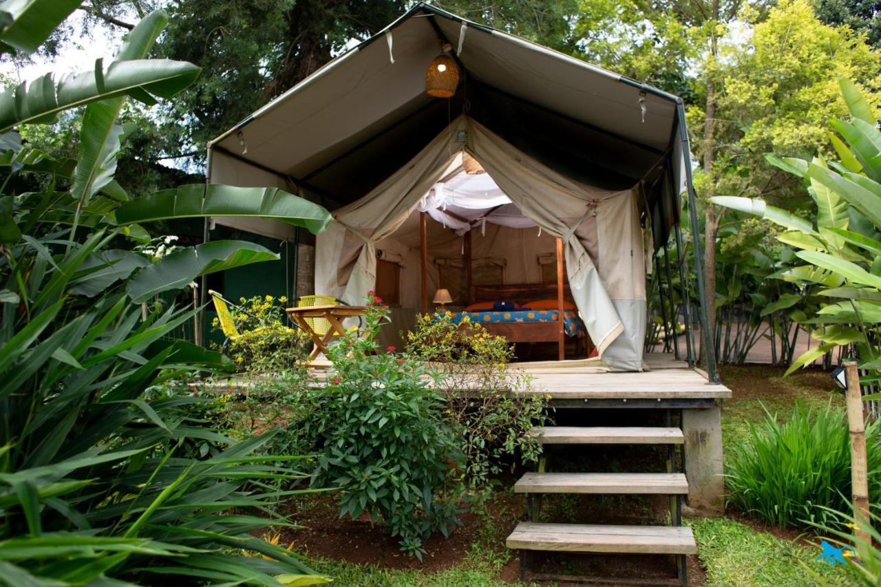 Bluemonkey Guesthouse Entebbe Exterior foto