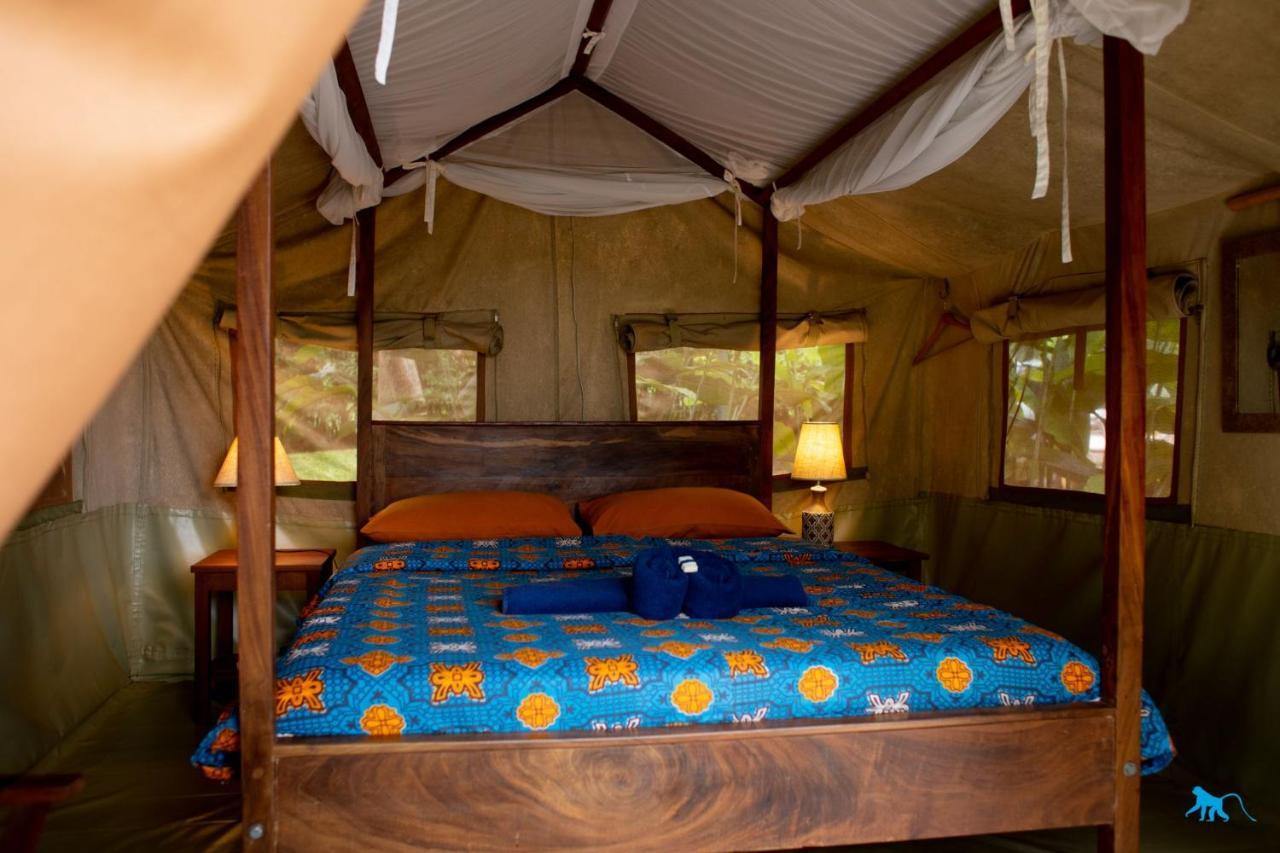 Bluemonkey Guesthouse Entebbe Exterior foto